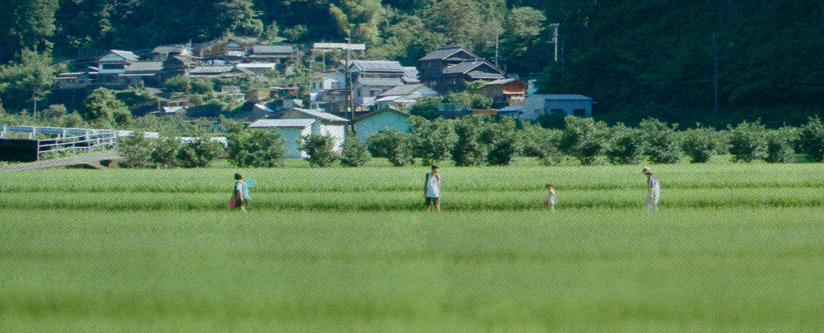 夏の田園風景
